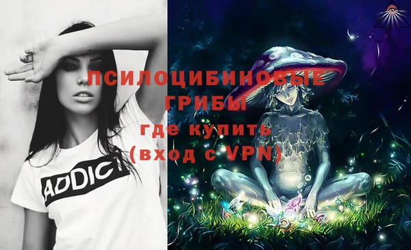 молекула духа Аркадак