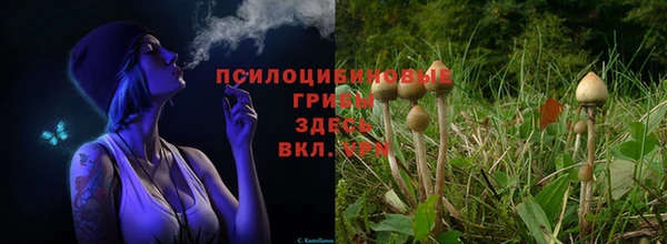 дурь Беломорск