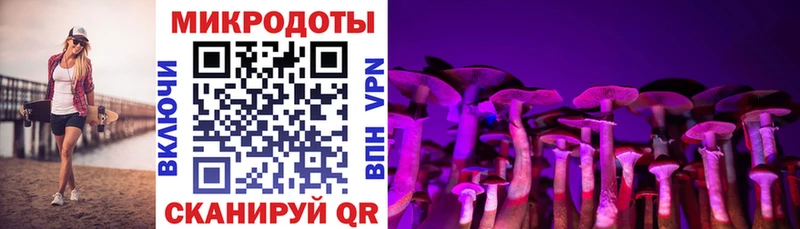 Купить  Холмск  Галлюциногенные грибы MAGIC MUSHROOMS 